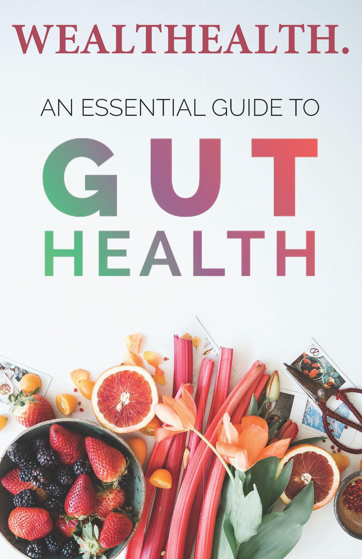 WEALTHEALTH. : A Guide TO Gut HEALTH!